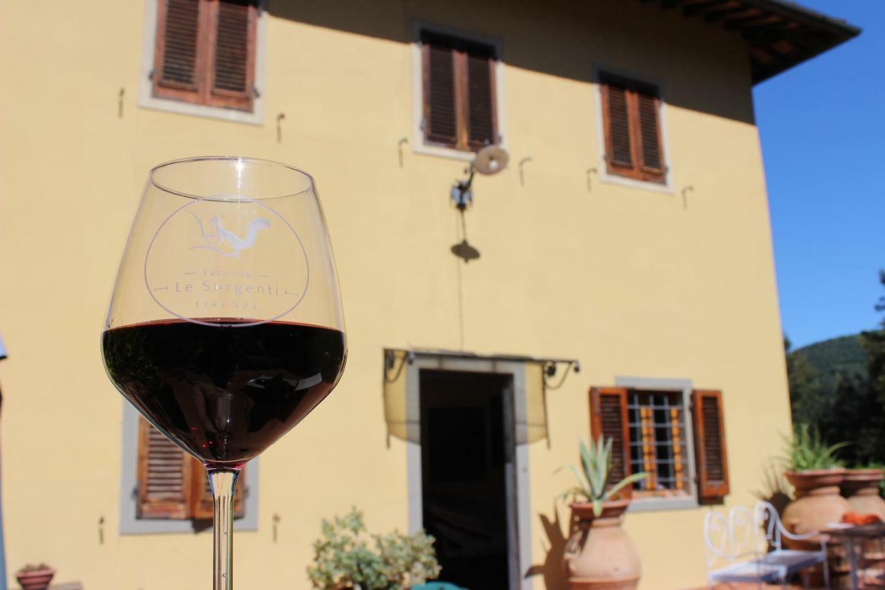 La Villa Della Fattoria Le Sorgenti Italia 5 Girasoli Баньо-а-Риполи Экстерьер фото